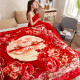 Antarctic home textile blanket winter thickened double-layer Raschel warm blanket universal wedding blanket nap air-conditioned blanket towel quilt double air-conditioned quilt autumn and winter blanket quilt gift [double-layer thickened can sleep naked] 180x220cm weighs about 6Jin [Jin is equal to 0.5 kg, ]