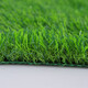 Lezijun simulated lawn, artificial turf, artificial fake lawn carpet, simulated plastic lawn mat, outdoor 2cm green net 2*4