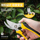 Deli fruit tree scissors, pruning scissors, garden flower scissors, gardening flowers and trees, branch pruning, thick branch pruning shears, labor-saving scissors, 8-inch stainless steel blade, can cut 15mm wet branches, pruning shears