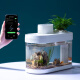 Drawing geometry APP smart fish tank wifi remote control desktop amphibious ecological lazy goldfish tank automatic feeding living room aquarium Pro version (fish tank + WiFi + feeder)