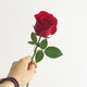 Come to Yike Flower Express Company to buy flowers for events and deliver single roses (minimum of 10 pieces) in the same city across the country. Single roses (minimum of 10 pieces for delivery)