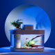 Drawing geometry APP smart fish tank wifi remote control desktop amphibious ecological lazy goldfish tank automatic feeding living room aquarium Pro version (fish tank + WiFi + feeder)