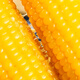Jingxiansheng Northeast yellow corn on the cob 200g 8 cobs of 25-year-old new corn Vacuum sticky corn Multiple packaging Straight from the source