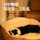 多可特（D-cat） 狗窝四季通用猫狗窝小中大型犬冬季夏季狗床狗用品猫狗垫子沙发 L-75*60*25（建议40斤内）