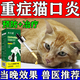 Cat stomatitis special medicine i medicine cat stomatitis spray 2801 A cat's rotten mouth, drooling, red, swollen and inflamed gums, oral ulcers, special anti-inflammatory and analgesic spray for removing bad breath, buy 3 and get 2 free, for ulcers, drooling and bleeding, five boxes + antibiotics