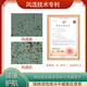 Qiaokang Breaking Wall Ganoderma Lucidum Spore Powder 50G Triterpene 10.5% Física de debilidad y mejora de la inmunidad Patente orgánica Breaking Wall 4 Cajas Precio (6 cajas de envío real Total 300G)