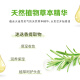 Huirun (super mild) [Li Yunruis gleicher Stil] Grüner Wild Shampoo Ersatz 400 ml 0 Silikonöl Shampoo OCC