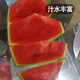 Fengming Yashi black seedless watermelon seeds thin skin large super sweet southern seedless black watermelon seeds 100 capsules