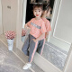Haolia Children's Clothing Girls Suit Summer Clothes Children's Summer Two-piece Sports Sports 4-12 Years Old Medium and Large Children's Clothes Girls Korean Style Clothes Technology Style Suit Pink 150 Sizes (Wear About 145cm)