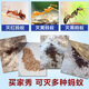 驰天杀除黄红黑蚂蚁药灭蚁清灭蚁药蚂蚁粉家用蚂蚁杀虫剂蚂蚁药白蚁药 3包装