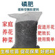Yuntianhua Phosphate Fertilizer Granules Superphosphate General Flowering Fertilizer Household Fruit Tree Vegetable Green Plant Compound Fertilizer 100 Jin Jin equals 0.5 kg Phosphate fertilizer (high concentration) 20 Jin Jin equals 0.5 kg