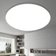 Micro ceiling light LED super bright home living room bedroom kitchen lighting round staircase balcony simple 24W 33CM white light promotion