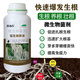 Bud power fierce rooting stock solution powerful rooting and seedling strengthening agent for transplanting cuttings, fruit trees and flowers special root-promoting root strengthening fertilizer fierce rooting stock solution 500g*1 bottle