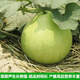 Edible gourd seeds, extra large gourd seeds, gourd seeds that can be used as water gourds, edible gourd seeds, original pack, about 20 capsules, ++ product
