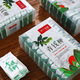 正宗修水野生高山青钱柳叶茶金钱柳清钱柳嫩叶颗粒中草药材礼盒装 500年古树修水青钱柳2盒 正宗修水野生青钱柳嫩叶