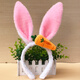 28g Children's Day Kindergarten Animal Headdress Little White Bunny Ears Headband Headband Rabbit Ears Bunny Girl White and Pink Plush Rabbit Ears with Carrot