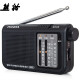 Panda (PANDA) 6123 Elderly Radio Portable Pocket Mini Multi-Full Band Semiconductor Pointer Type (Black)