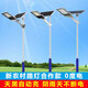 Xinguangda Solar Street Light Outdoor Street Light Pole Complete Set New Rural Telephone Pole High Power Solar Lighting 6 Meters Solar 4 Meters 150 Watt Complete Set