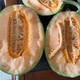 Zhongke Maohua Melon Fruit Seeds Weilong No. 25 Thick-skinned Melon Seeds Netted Hami Melon Seeds Cantaloupe Can Hang and Climb Weilong 25 Hami Melon Seeds - 20 capsules
