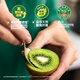 Zespri Green Kiwi Extra Large Fruit 22-25 Original Box Single Fruit Approximately 133-176g Kiwi Fruit