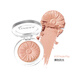 CLINIQUE Daisy Flower Shape Blush 3.5g,05