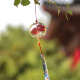 Miaopule Japanese-style cherry blossom glass wind chime pendant wishing hanging on the tree real estate community decoration outdoor waterproof wind chime hanging dandelion (white' color)/PVC waterproof tag