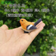 Phoebe gardening micro-landscape ornaments bird resin crafts cute simulation bird's nest gardening bonsai decorative bird eggs large orange bird