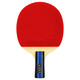 蝴蝶（Butterfly）D5乒乓球拍单拍(附拍套)直拍/短柄进攻结合弧圈双面反胶5层