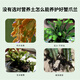 Devodo crab claw orchid special nutrient soil 15L gardening green plant potted flower soil organic flower organic planting flower fertilizer soil