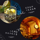 
Zhenai Jin Wine Original Bottle Foreign Liquor 40 Degree 680ml Stewed Liquor 680mL 1 Bottle Single Bottle