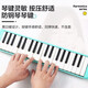 SUZUKI Suzuki mouth organ 37 keys 32 keys primary school students classroom special junior high school students professional adult children teaching mouth organ green 37 keys soft bag MX-37D+ keyboard sticker
