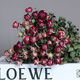 AIMAN Chinese Valentine's Day gift Yunnan multi-head dried rose bouquet rose gift shooting props decoration real flowers 10 pieces of single head treasure and a bouquet with flowers