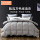 Little Sheep Down Quilt Gray Duck Down Quilt Core Winter Warm Quilt Double Thick Feather Quilt Autumn and Winter Quilt Bedding Winter Down Quilt (Gray) 200*230cm Spring and Autumn Quilt (Weight: Approximately 1660g)