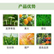 Health care 0.01% 24 epibrassinolide foliar vegetable and fruit tree seedling antidote for pesticides and plant growth regulators