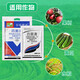 Bainonstar 75% chlorothalonil blue powder fruit trees, vegetables and flowers downy mildew powdery mildew broad spectrum fungicide 100g