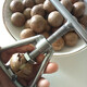 New technique nut opener, macadamia nut shell opener, fruit opener, stainless steel clip, fresh raw nut tool, nut opener, original version