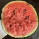 Zhongke Maohua melon and fruit seeds Jinmei 4K watermelon seeds with flower skin, red flesh, oval skin, thin toughness, resistant to storage and transportation, easy to make fruit Jinmei 4K-400 capsules