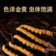 
Liwei Leopard Cordyceps sinensis 10g 4 pieces/g 40 pieces first-class quality freeze-dried Cordyceps father's day gift box high-end tonic