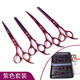 Xuanniao Pet Scissors Home Dog Barber Curved Scissors Trimming Shears Pet Grooming Scissors Tool Set Recommended Purple 4-piece Set