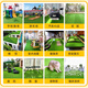 Qingya construction site fence simulated lawn carpet sunshade mesh green fake turf kindergarten floor mat outdoor plastic decoration 1cm engineering encrypted grass 50 square meters (2m wide * 25m long)
