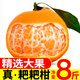 Life & Good Housekeeping Sichuan Chunjian Raking Mandarin Bursting Big Fruit Fresh Fruit Gift Box Seasonal Oranges Freshly Picked Citrus Oranges 8.5-9 Jin Jin equals 0.5 kg. High cost performance - a great meal for the whole family. Net weight 8 Jin Jin equals 0.5 kg. Fruit diameter 80-85 mm. Medium-large fruit.