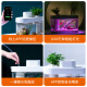 Drawing geometry APP smart fish tank wifi remote control desktop amphibious ecological lazy goldfish tank automatic feeding living room aquarium Pro version (fish tank + WiFi + feeder)