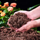 Pin's matrix peat soil organic nutrient soil universal type Danish imported planting soil flower planting soil peat soil 0-10mm universal type 80L*1