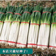 Authentic Shandong Zhangqiu hard-core scallions, special new species, four-season farmhouse spring, autumn and winter vegetable larvae seeds collection, high-quality selection, half Jin Jin is equal to 0.5 kg, Song and Song products, special new species
