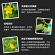 Hulian 33.5% quinoline copper fungal cucumber vegetable downy mildew organic copper pesticide fungicide 20g