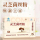 Shanxi Ruizhi Ganoderma Lucidum Micelio Polvo Xiangling Lingzhi Polvo Matsutake Cabeza de mono Malta Malta polvo Shuangdi Pared de la pared Ganoderma Lucidum Polvo Seleccionó 6 cajas de Ganoderma Lucidum Polvo de lucidum