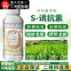 Guoguang Dynamics S-attractant citrus fruit tree disease resistance, drought and cold resistance, salt tolerance, root strengthening and seedling plant growth regulation 1000ml