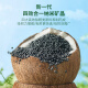 Green Source Activated Carbon Formaldehyde Removal Carbon Pack 12kg360 Interior Decoration New House Home Suction Removal Formaldehyde Scavenger Odor