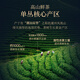 Huaxiangyuan Oolong Tee Vip Tee Chaoshan Phoenix Dantong Duck Scheiße Xiang Special 200g Light Fire Tea Geschenkbox Geschenk