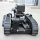 Lingle crawler type EOD robot, intelligent inspection and detection robot, swing arm robot, customized reconnaissance and rescue machine, small model